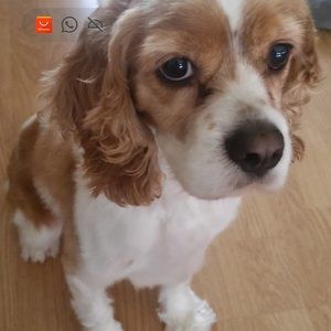 Meet your Posher, Brenda